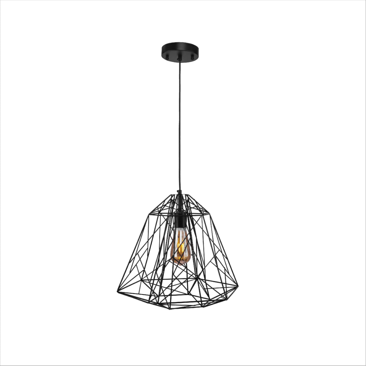 Main image of Black Wire Cage Pendant Ceiling Light with E27 | TEKLED 150-18087