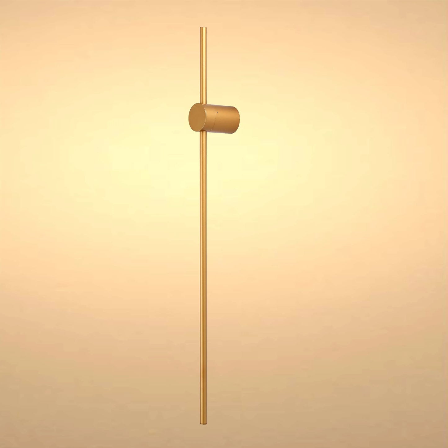 Minimalist Rod Wall Light in Black or Gold with Integrated LED