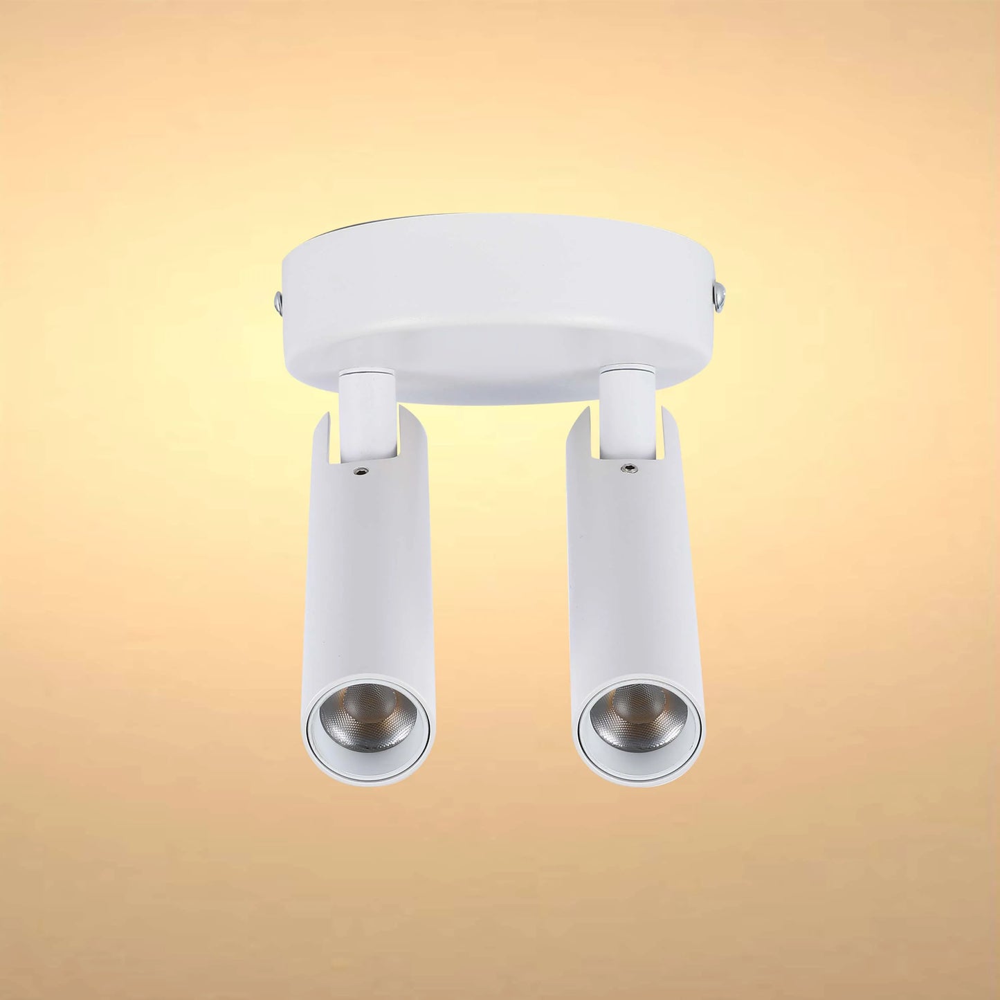 Modern Black & White 2-Light Spotlight