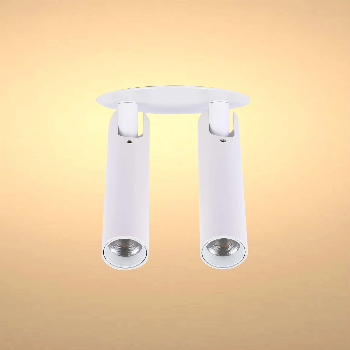 Modern Black & White 2-Light Spotlight