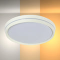 Modern Flush Mount Ceiling Light with Decorative Ring Accent