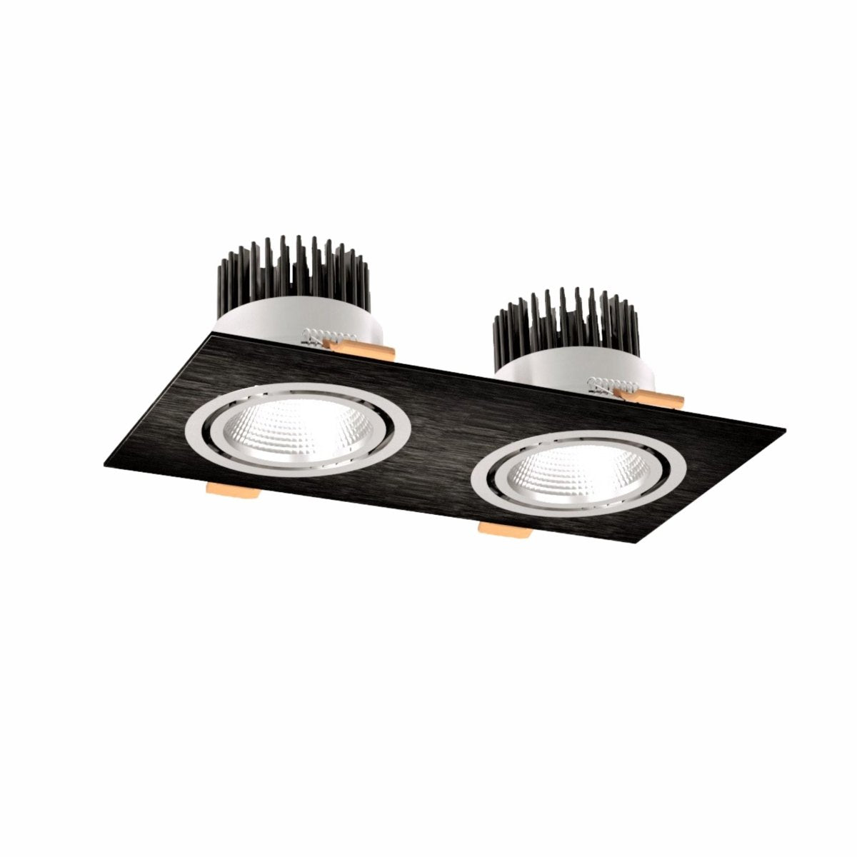 Main image of LED Recessed Downlight 2X10W Cool White 4000K Black IP20