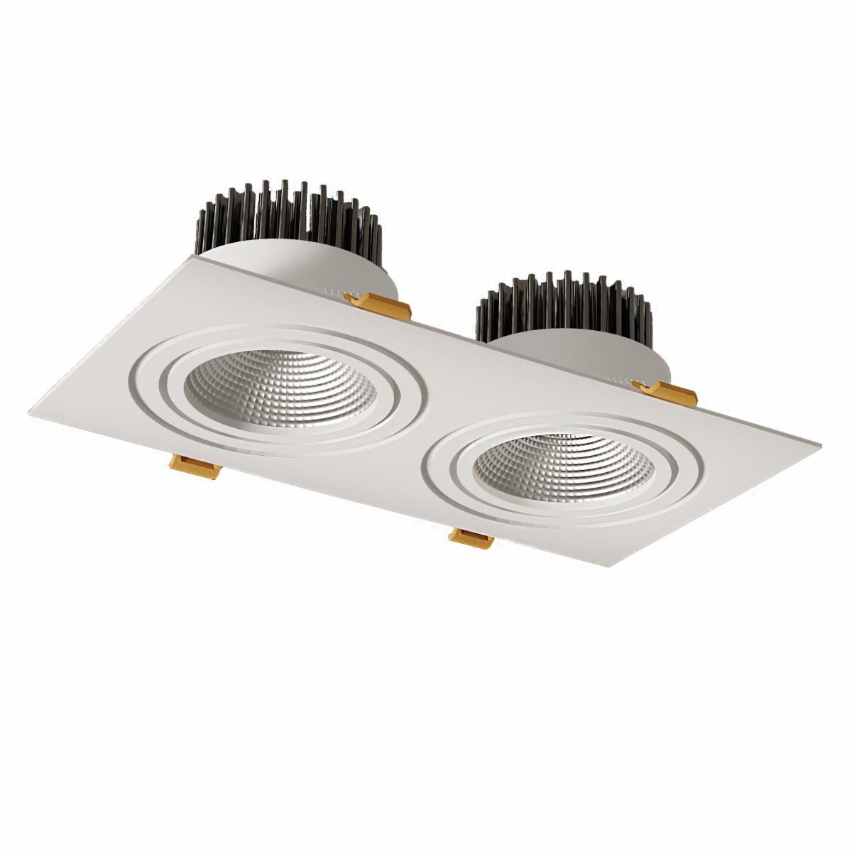 Main image of LED Recessed Downlight 2X10W Warm White 3000K White IP20