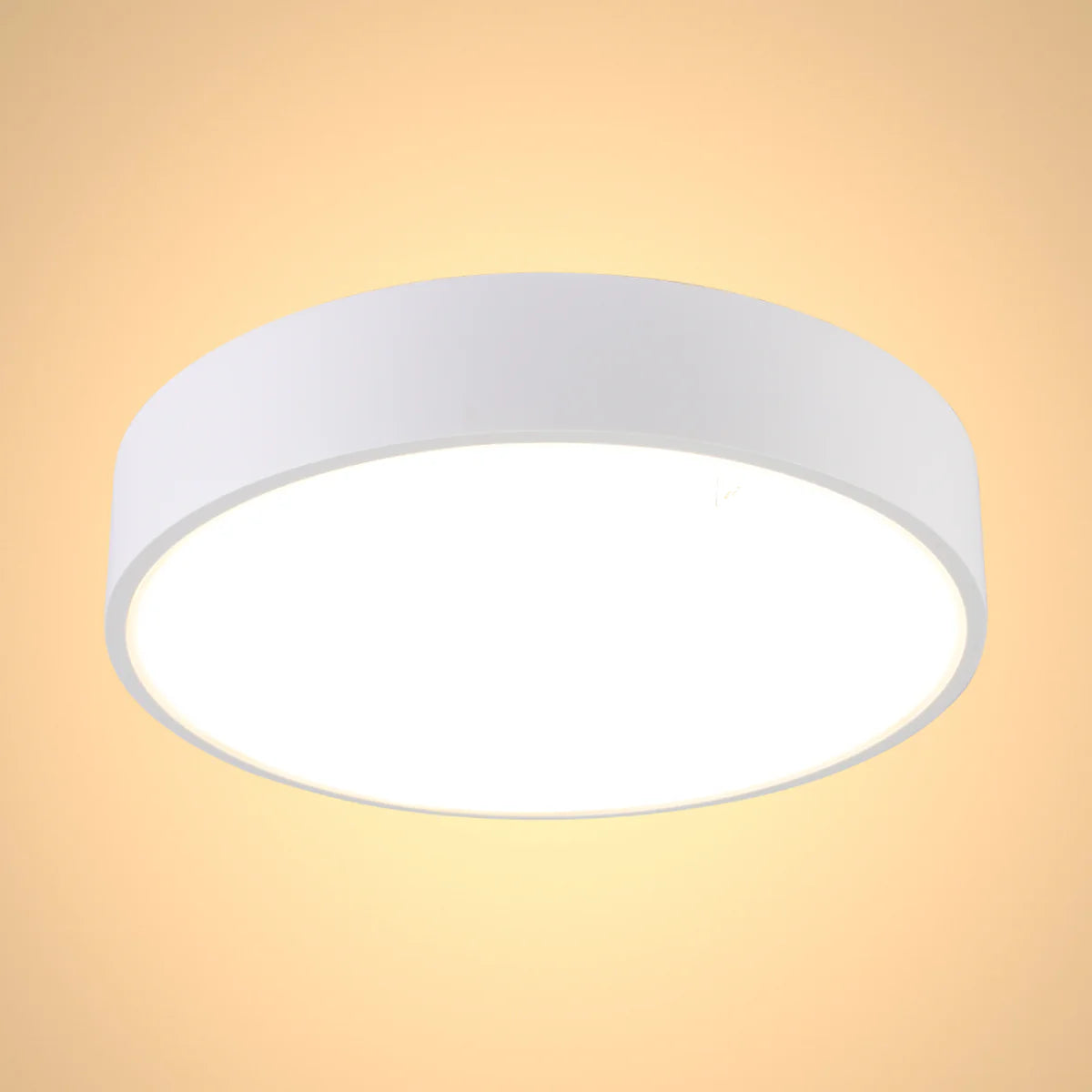 Main image of Sleek LED Bulkhead Light IP65 Ceiling Wall Interior Exterior 24W 4000K White 181-15361